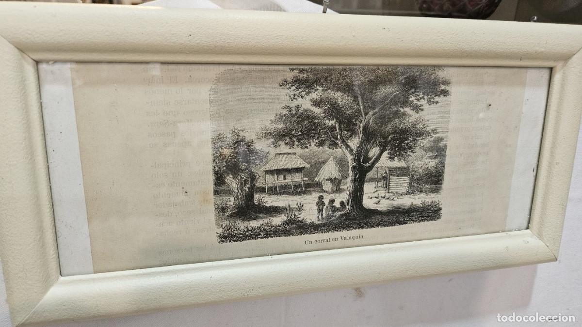 Arte: grabado antiguo del 1823 selva negra - Foto 7