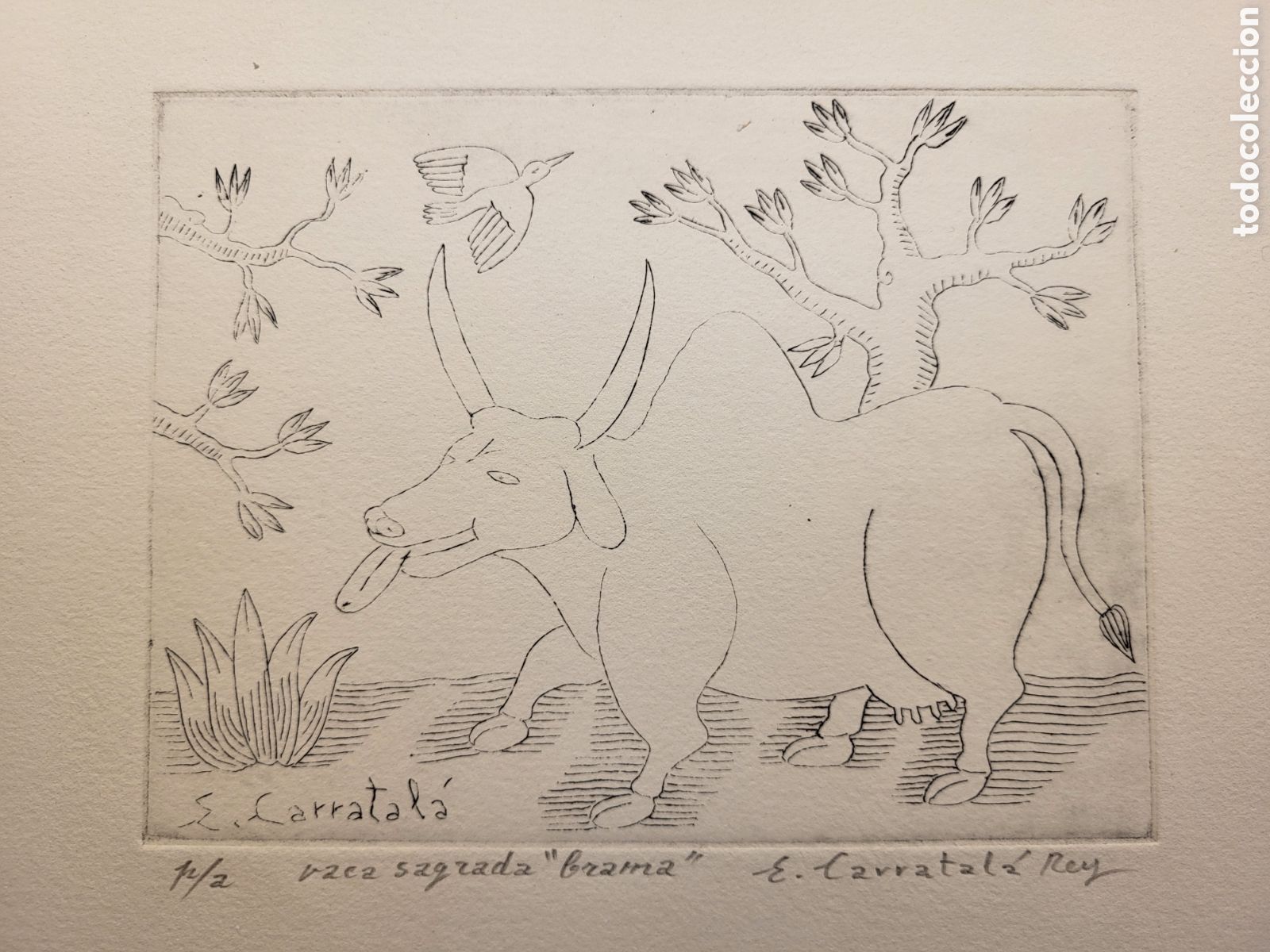 Kunst: ERNESTO CARRATALA REY. GRABADO FIRMADO PRUEVA DE AUTOR . VACA SAGRADA BRAMA. 35 &times; 25,5 CM