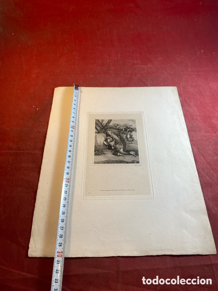 Arte: J. Miran grabado 1822 - Foto 3