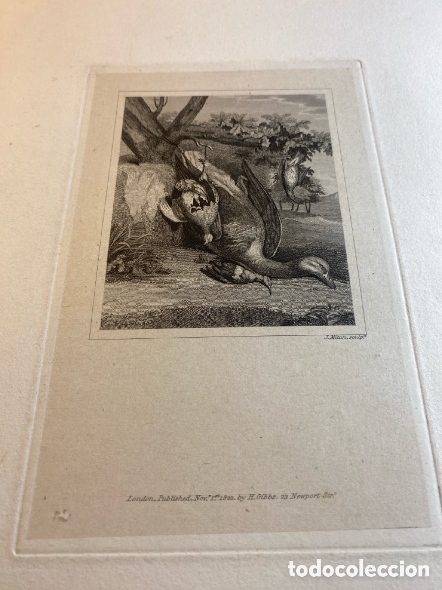 Arte: J. Miran grabado 1822 - Foto 1