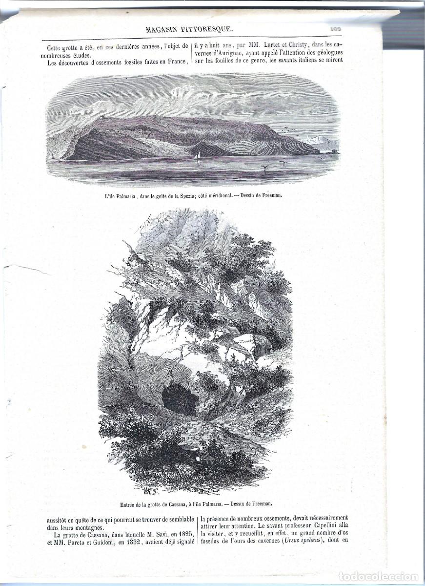 Arte: isla Palmaria. golfo de la Spezia. Italia