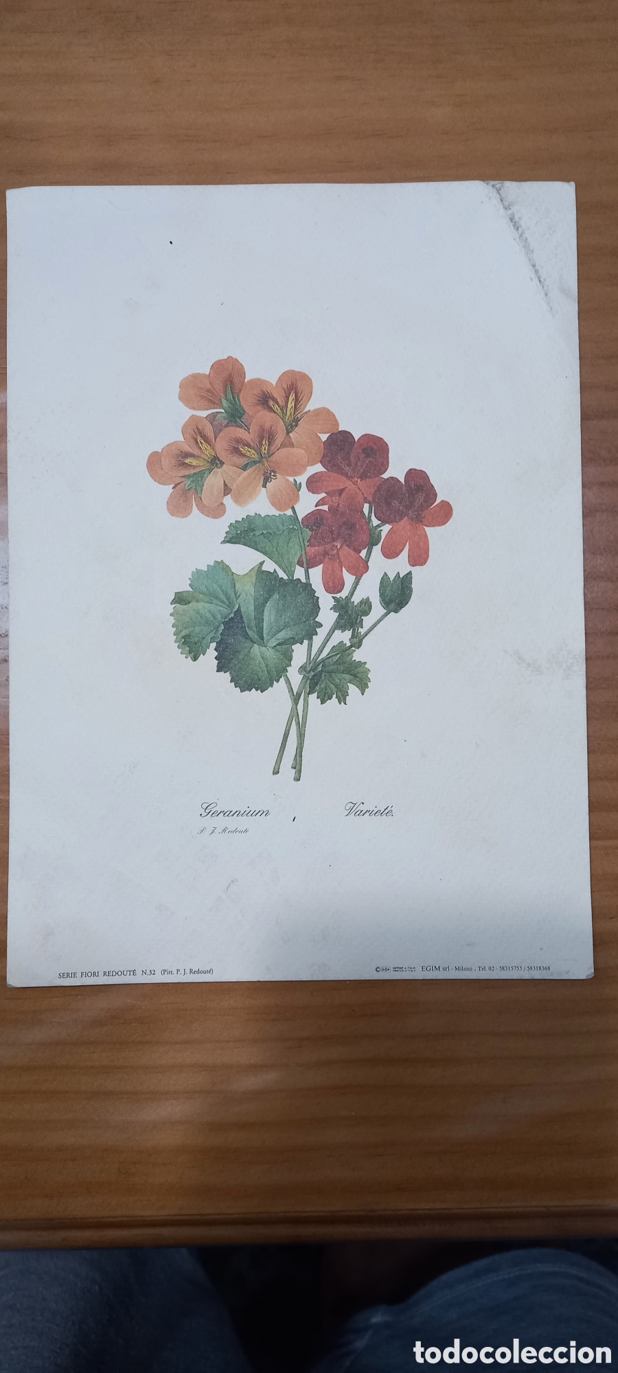 Art: 2 laminas motivos florales