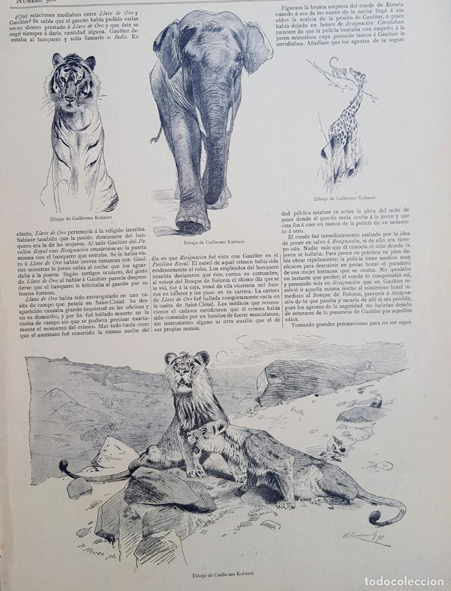 Art: Antiguos Grabados - Old Gravure : DIBUJOS DE GUILLERMO KUHNERT (1891)