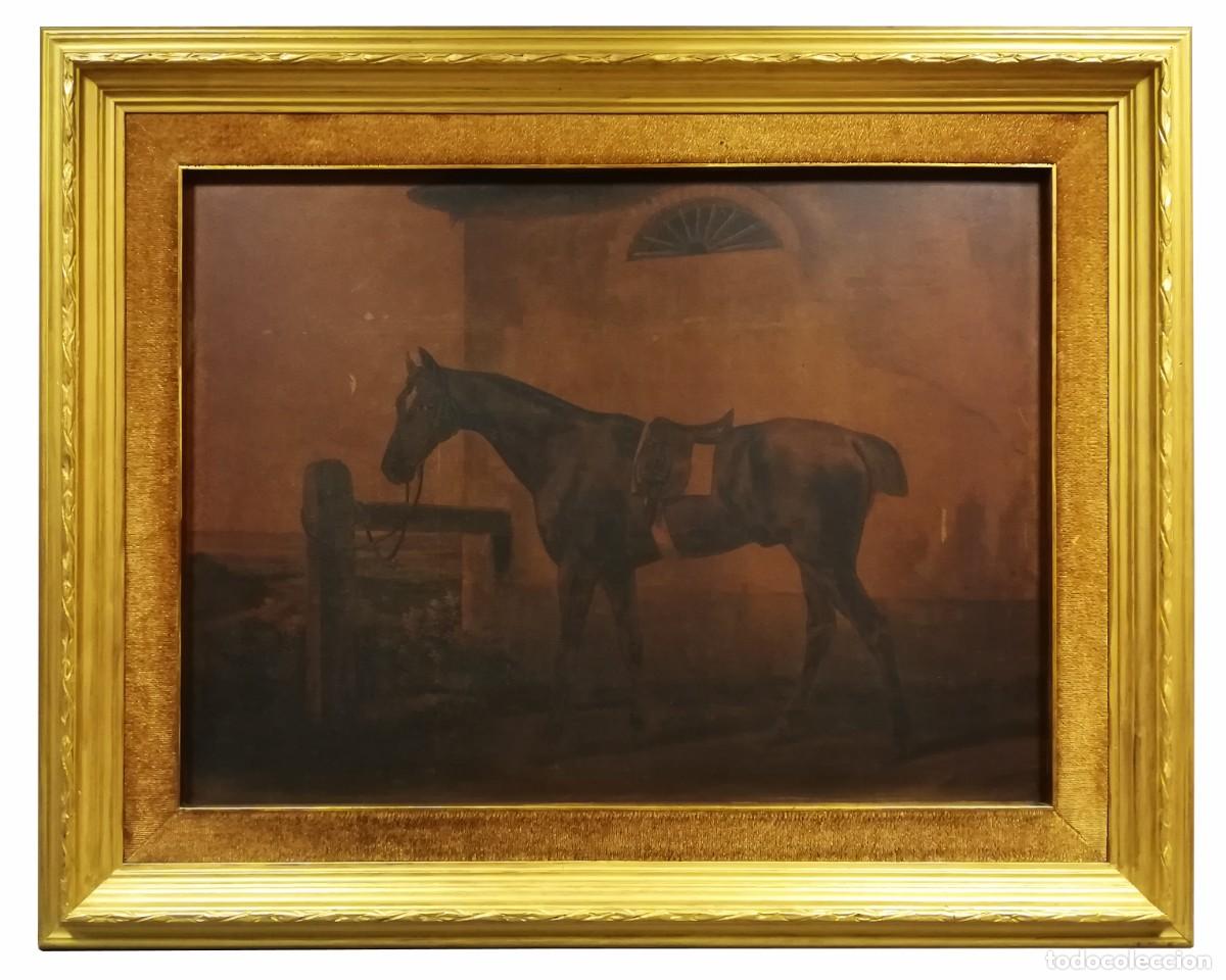 Arte: CUADRO IMPRESION CABALLO CON MARCO DORADO - Foto 1