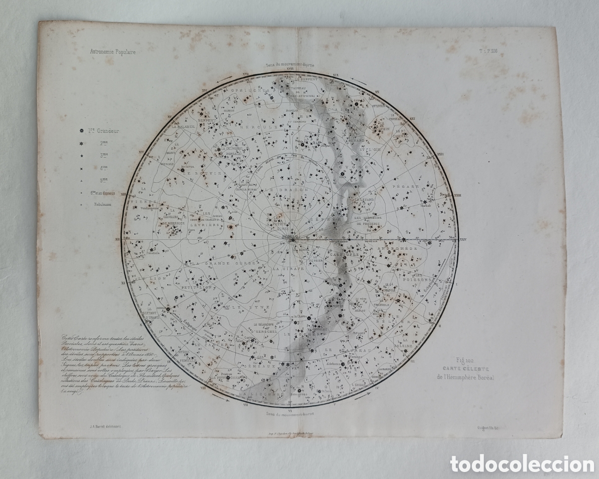 Arte: Carta celeste hemisferio Boreal 1855 Francia