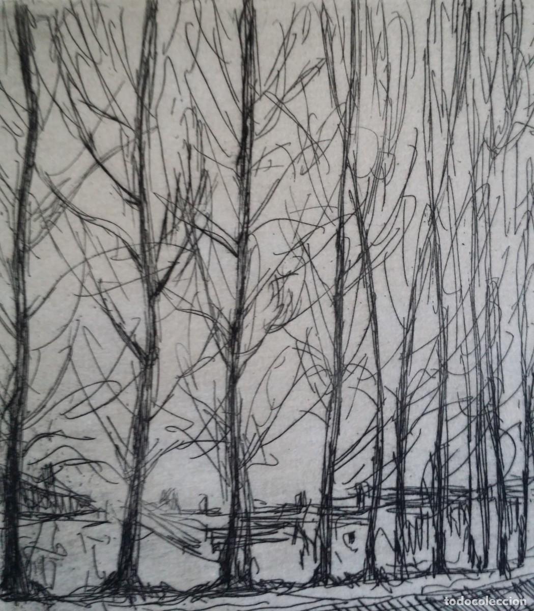 Arte: Francis PICABIA: aguafuerte de 1908 - Foto 8