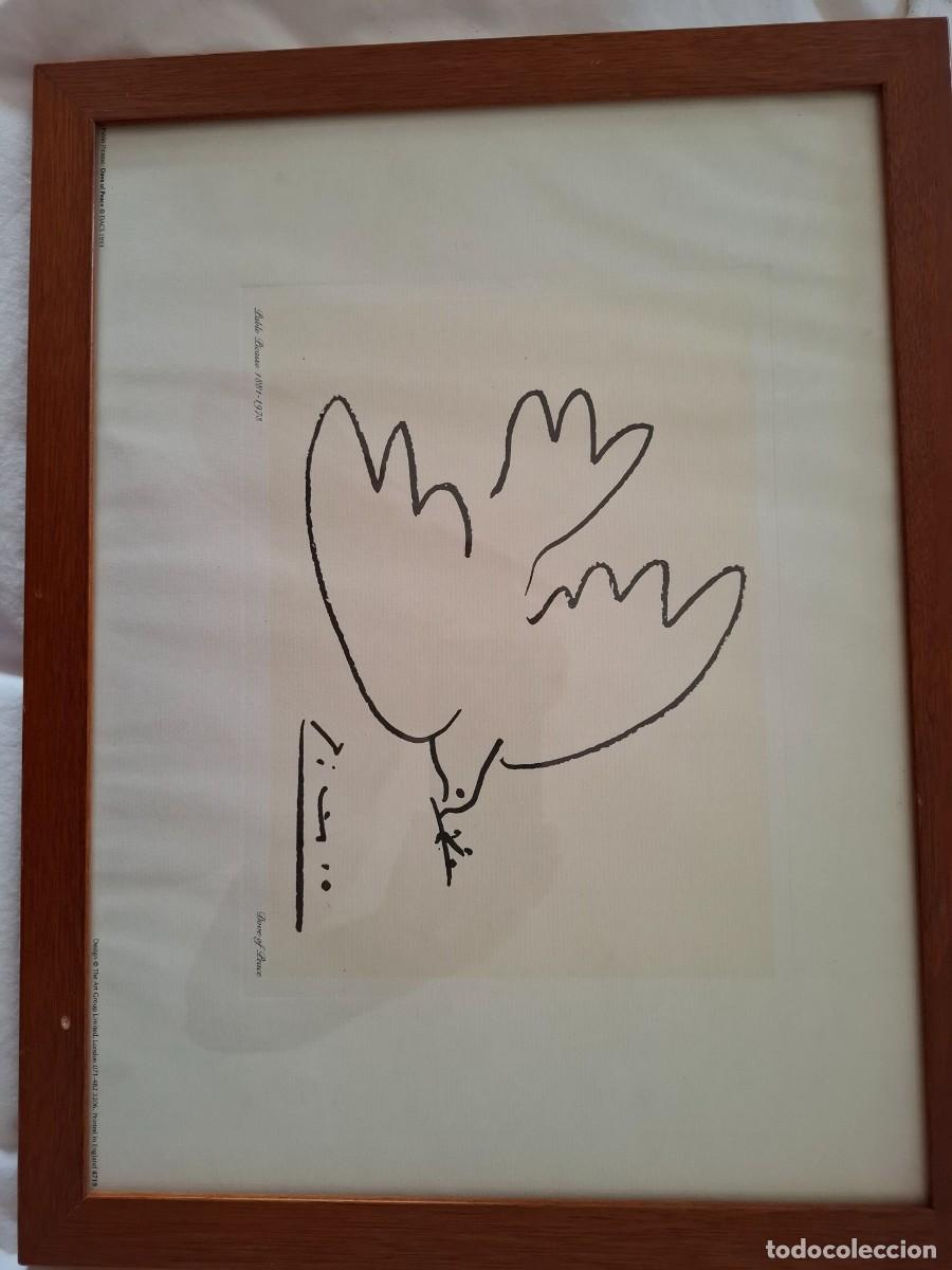 Arte: Grabado paloma Picasso serie limitada - Foto 1