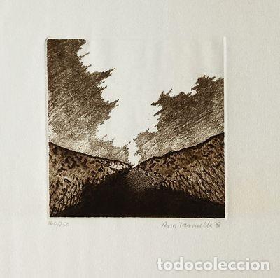Arte: ROSA TARRUELLA, Sin t&iacute;tulo (1978) - Foto 1