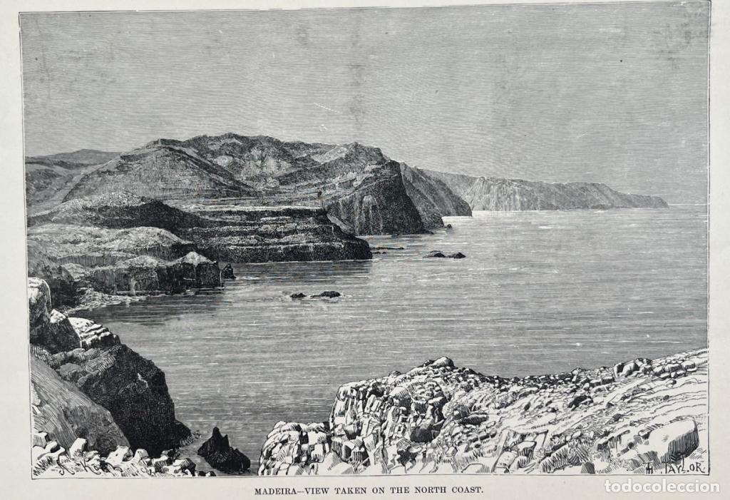 Arte: Litoral rocoso del norte de la isla de Madeira (portugal), hacia 1890. Taylor