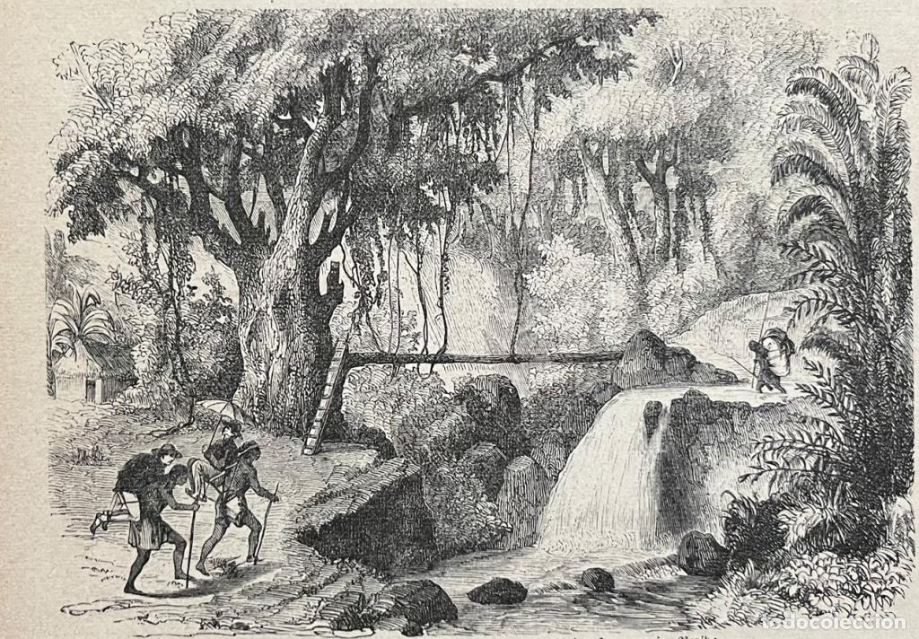 Arte: Puente de madera sobre cascada de r&iacute;o en M&eacute;xico, 1875. An&oacute;nimo alem&aacute;n