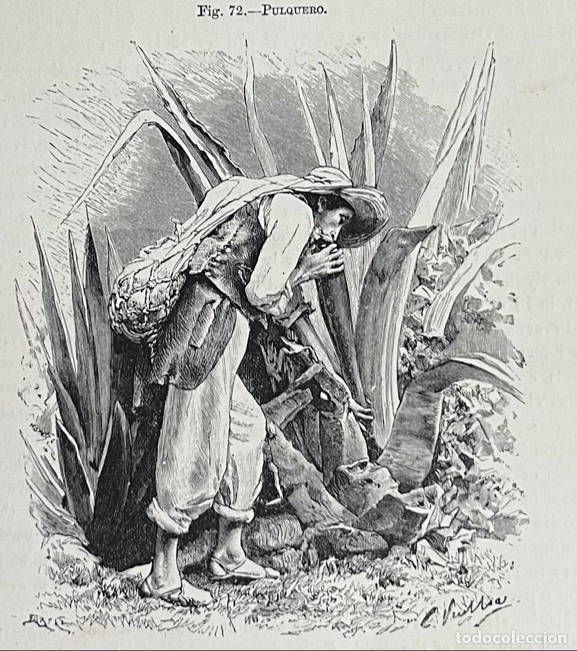 Arte: Pulquero de M&eacute;xico, hacia 1880