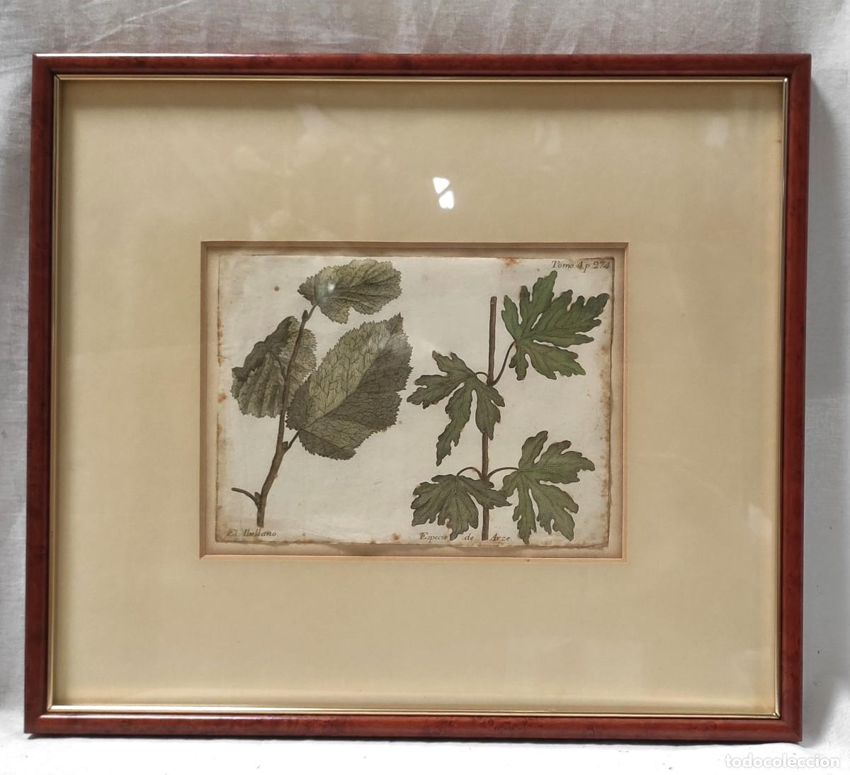Arte: AVELLANO Y ARCE -BARTOLOME ESCRIBANO Y DAVILA -1754 - Foto 1
