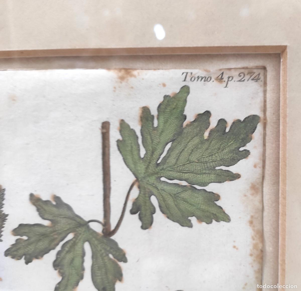 Arte: AVELLANO Y ARCE -BARTOLOME ESCRIBANO Y DAVILA -1754 - Foto 2