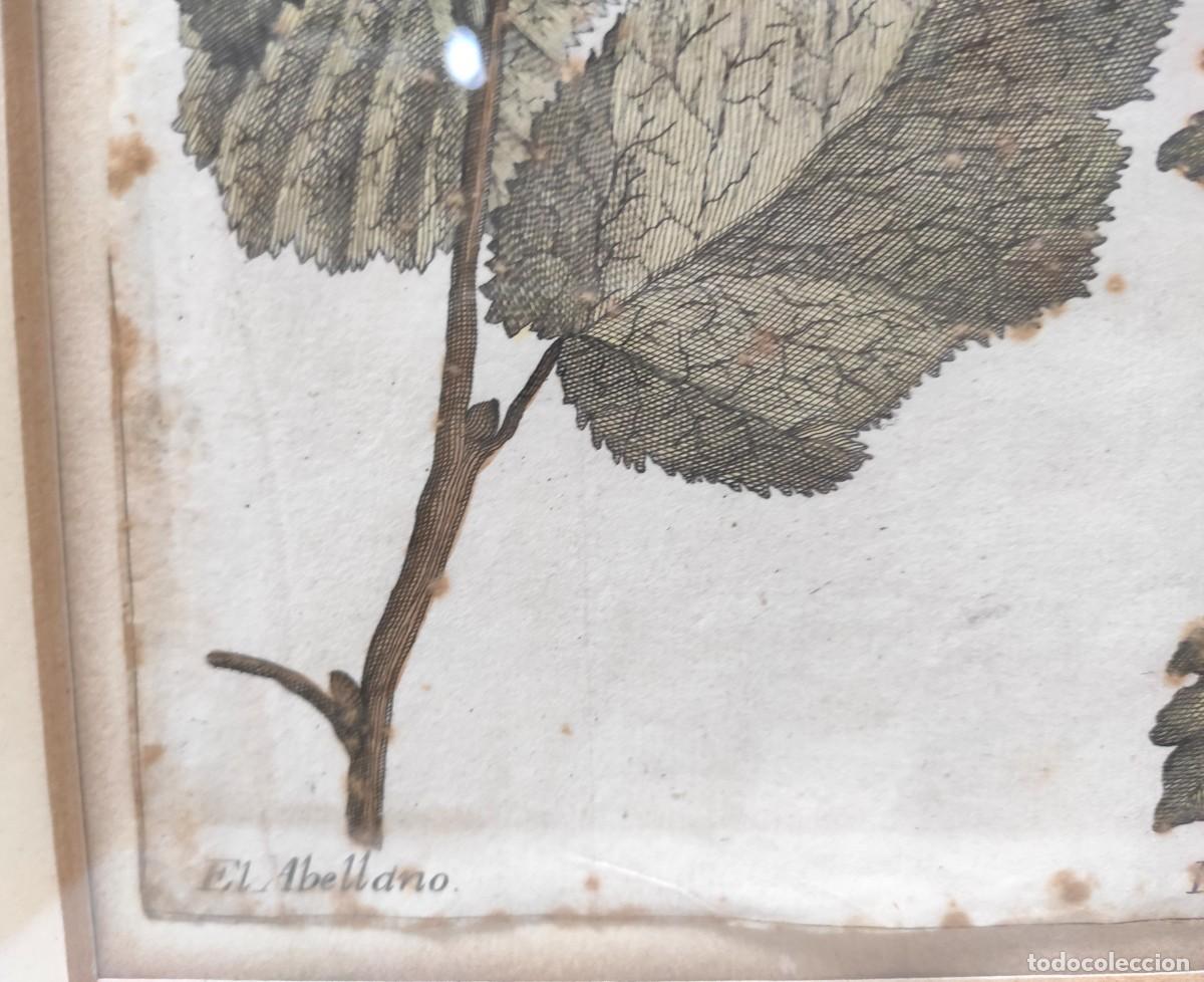 Arte: AVELLANO Y ARCE -BARTOLOME ESCRIBANO Y DAVILA -1754 - Foto 4