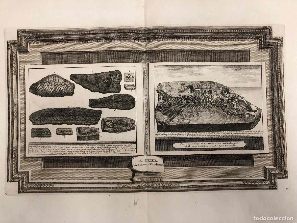 Arte: GRABADO A. LEIDE CHEZ PIERRE VANDER AA. C. 1750. - Foto 2