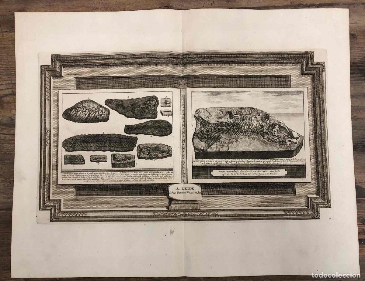 Arte: GRABADO A. LEIDE CHEZ PIERRE VANDER AA. C. 1750. - Foto 1
