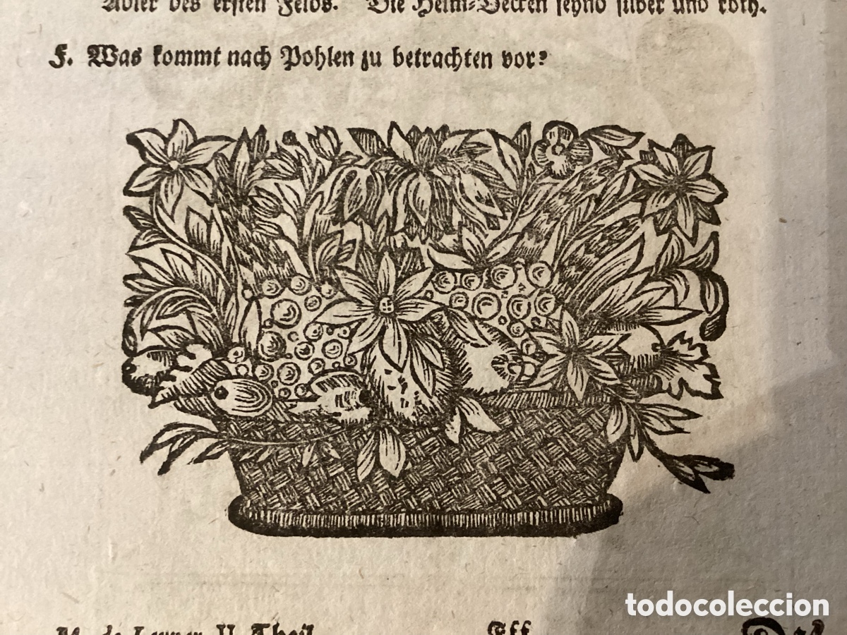 Arte: Prusia, &ldquo;Das R&ouml;nigreich Preuffen&rdquo;. An&oacute;nimo 1738. - Foto 3