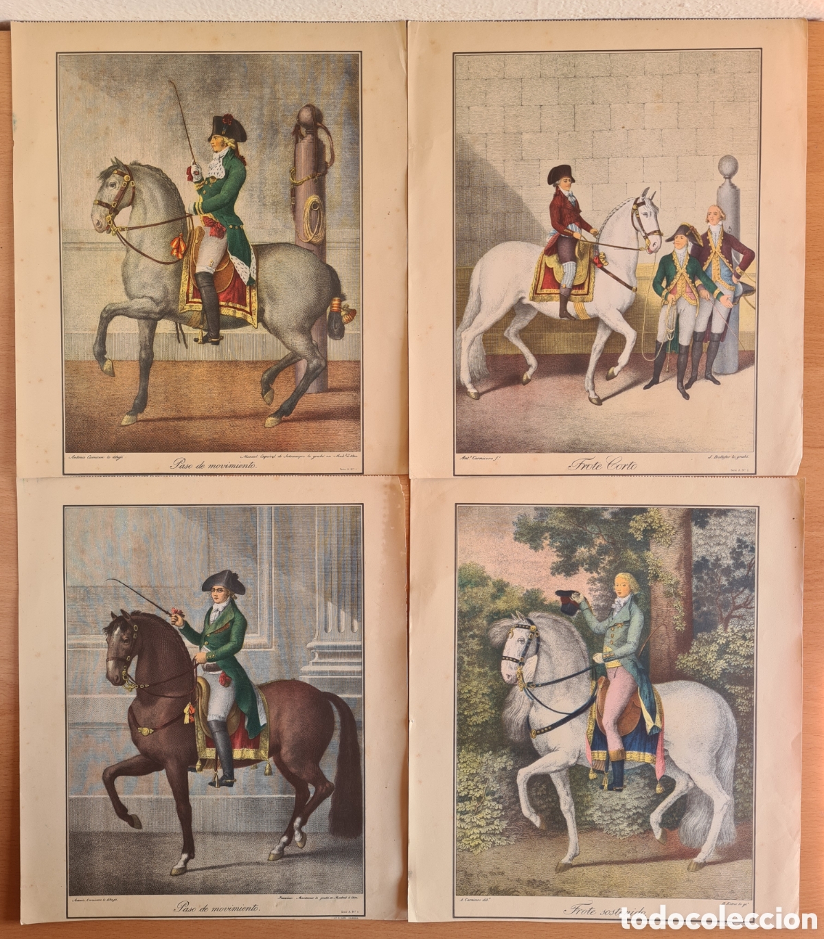 Arte: 6 Grabados Dibujos A. Carnicero - Doma Caballos Equitaci&oacute;n Paso Trote Parado Galope...