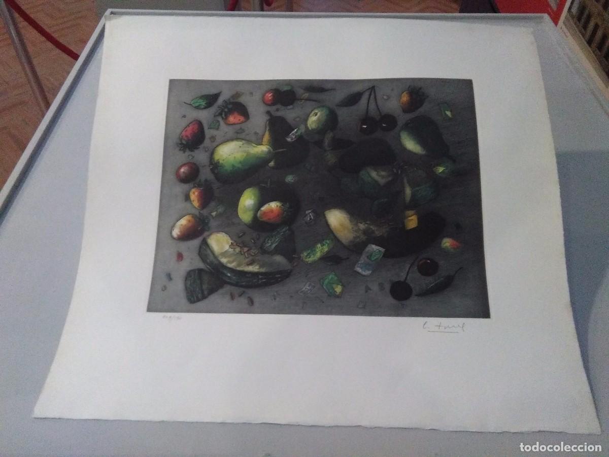 Arte: Bodeg&oacute;n / Crist&oacute;bal Toral / grabado / - Foto 2