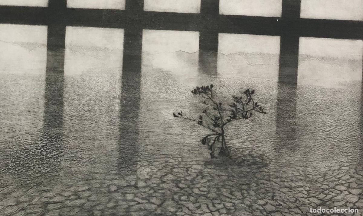 Arte: Grabado original de Oscar Manesi - Foto 4