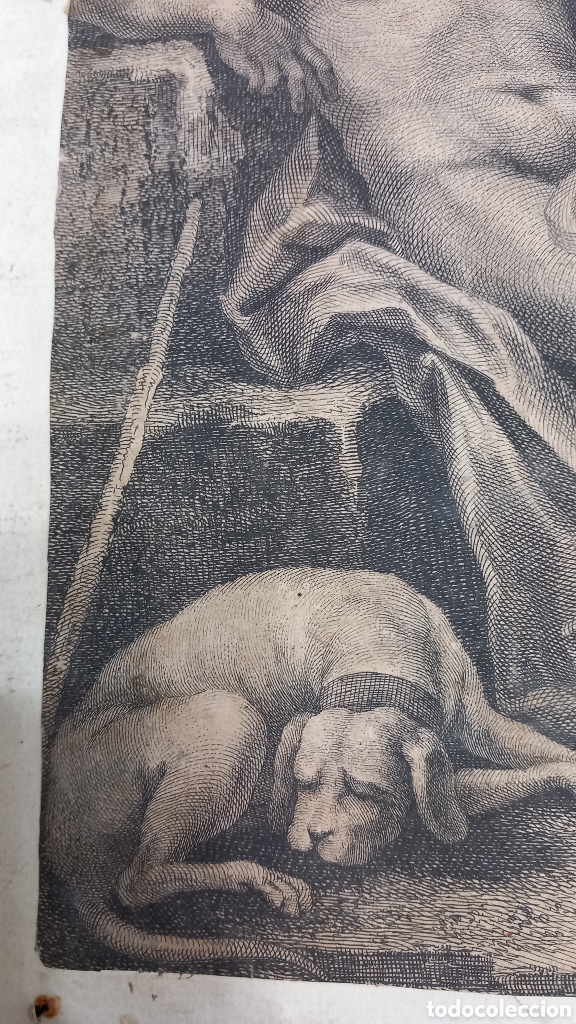 Arte: Grabado ,Fabio Berardi .El juicio de Paris - Foto 4