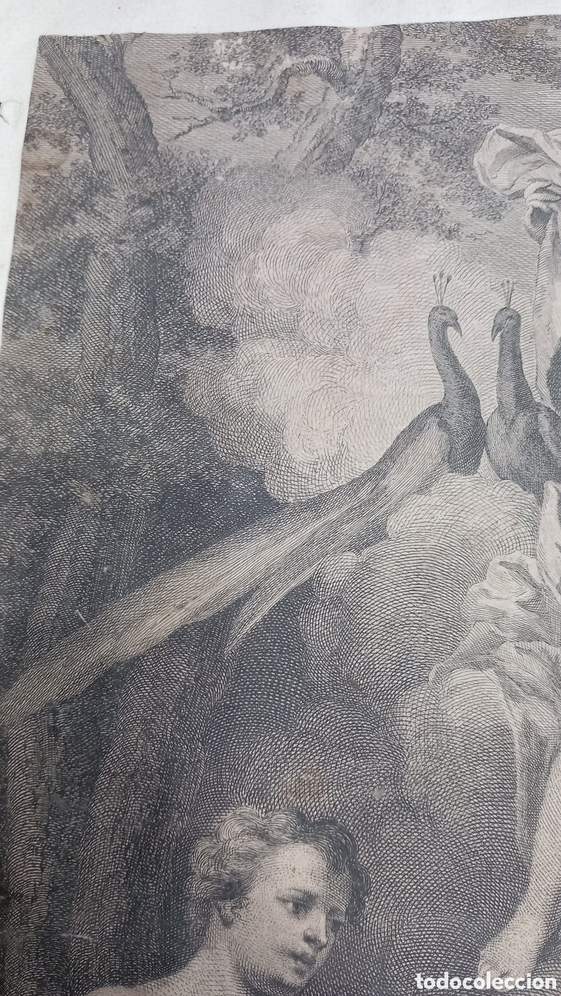 Arte: Grabado ,Fabio Berardi .El juicio de Paris - Foto 3