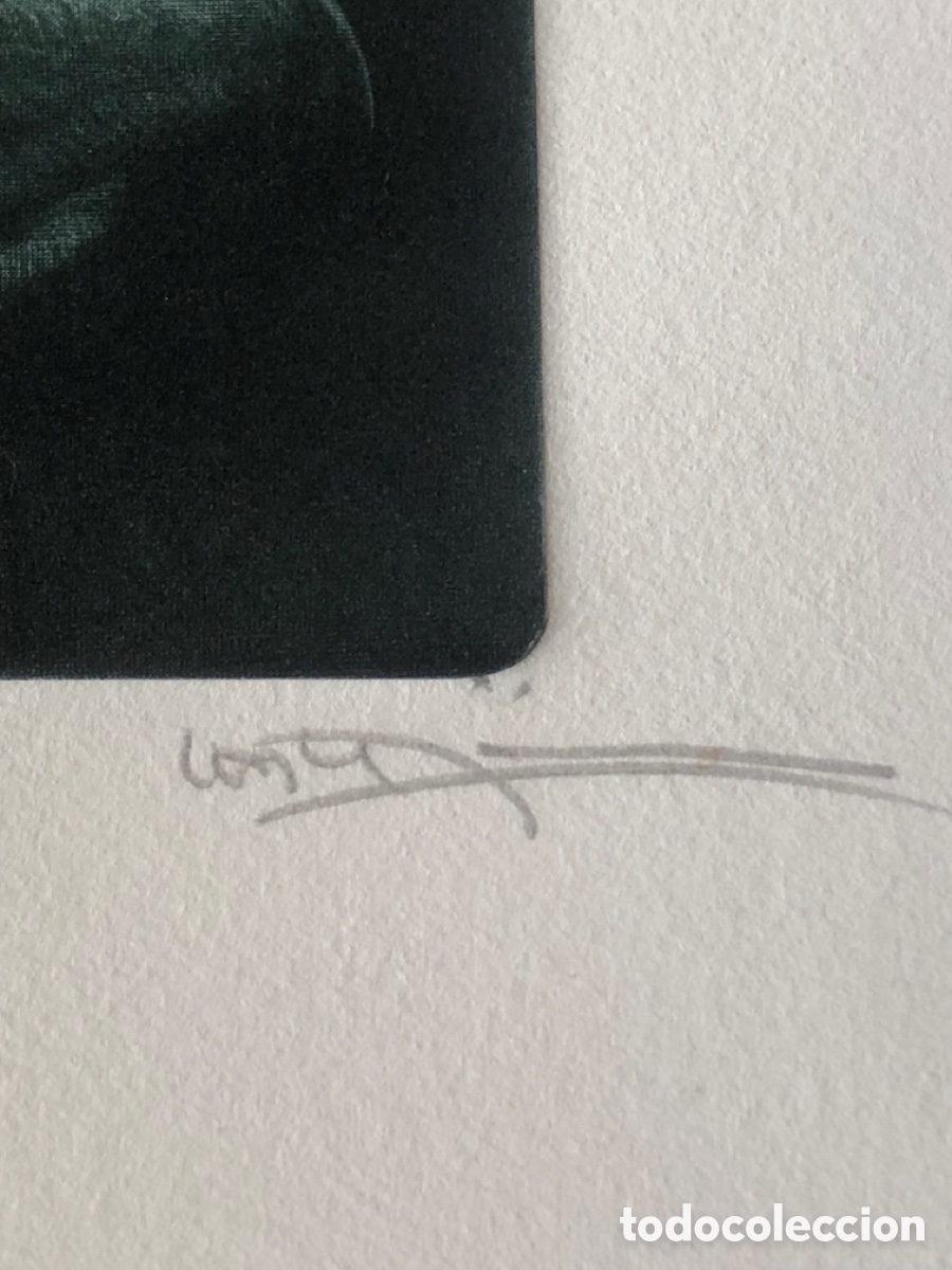 Arte: Grabado de Jose Castej&oacute;n - Foto 5