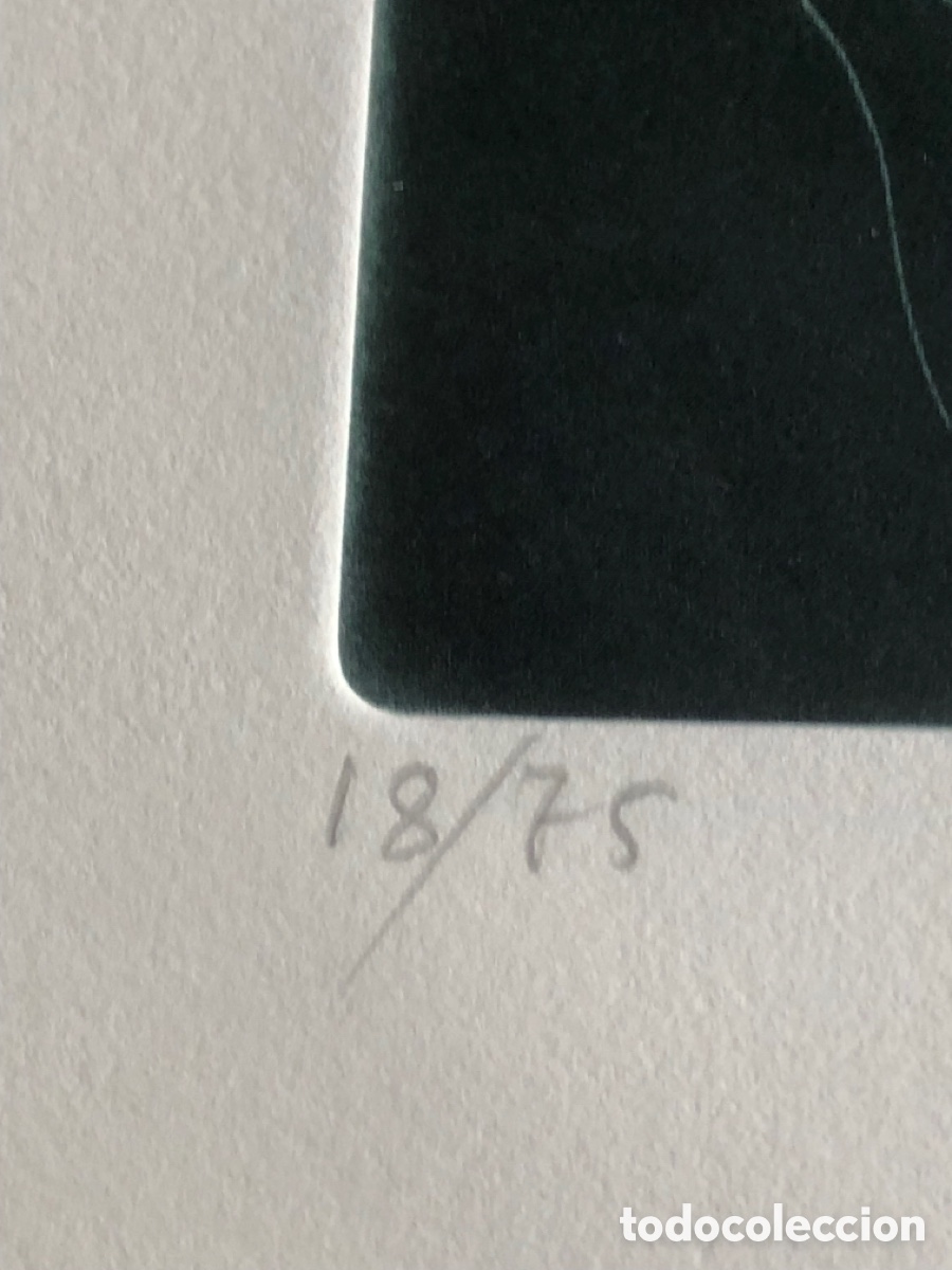 Arte: Grabado de Jose Castej&oacute;n - Foto 6