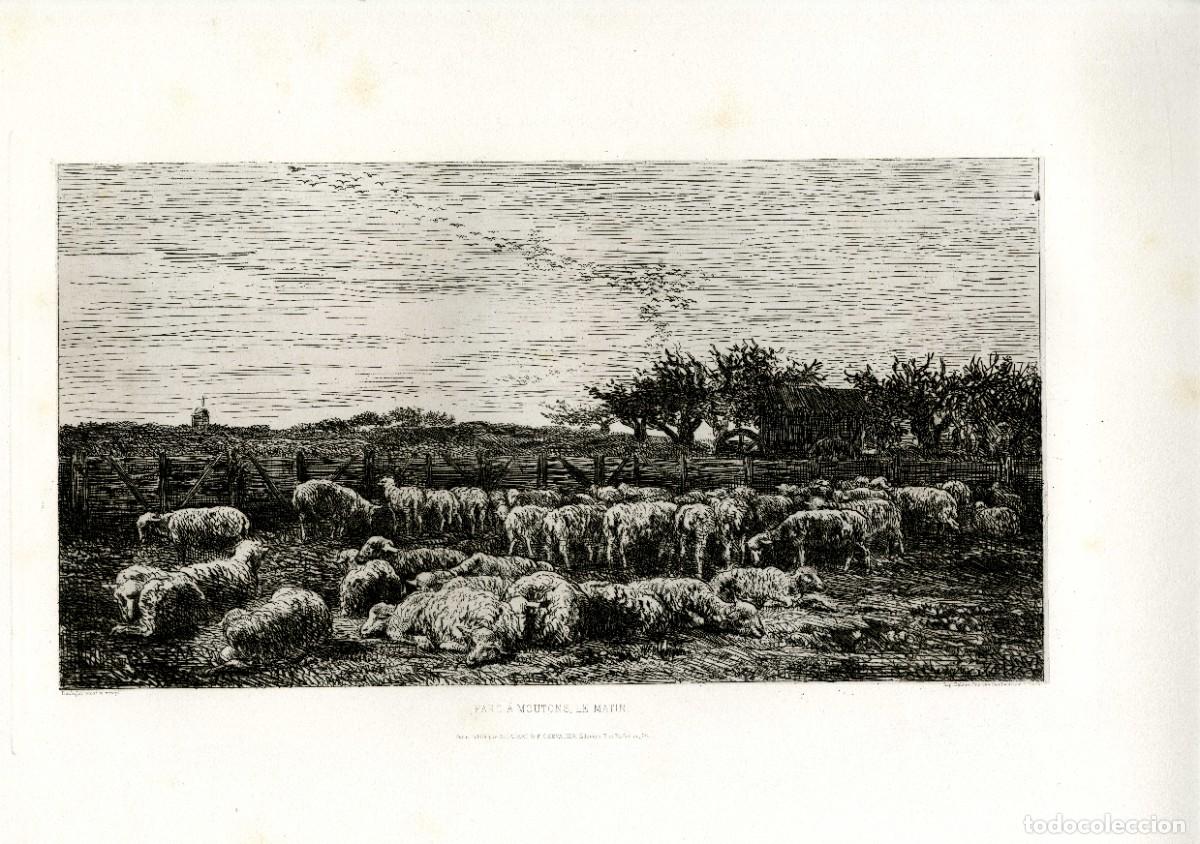 Arte: Daubigny, Charles-Fran&ccedil;ois (1817-1878). Parc &agrave; moutons, le matin. 1863.