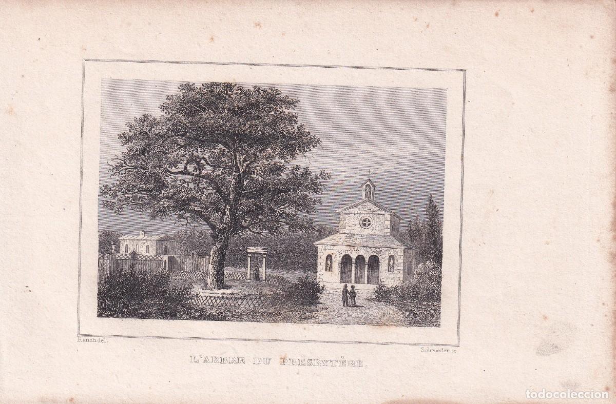 Arte: FRANCIA - L'ARBRE DU PRESBYT&Egrave;RE