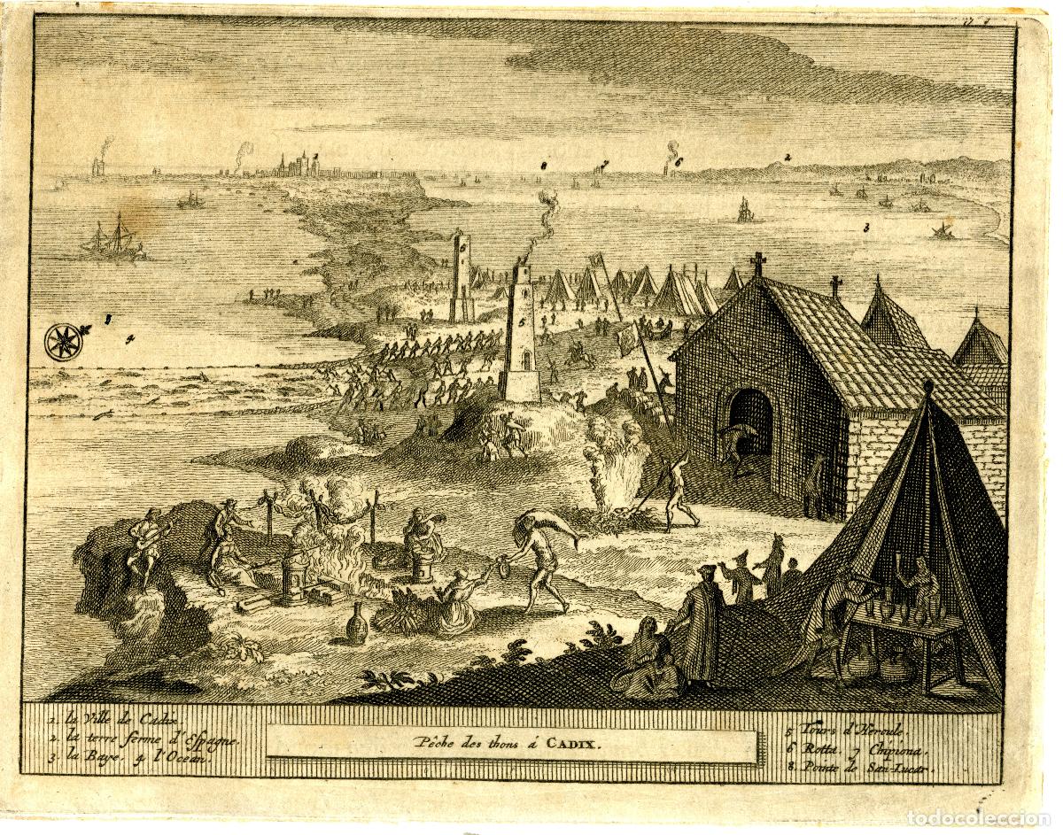 Arte: C&aacute;diz. Pesca del at&uacute;n. Leiden, 1707 - Foto 1