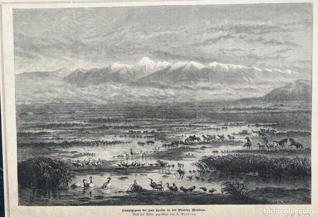 Kunst: Laguna del Diamante, en san Carlos, Mendoza (Argentina), 1880. Goering