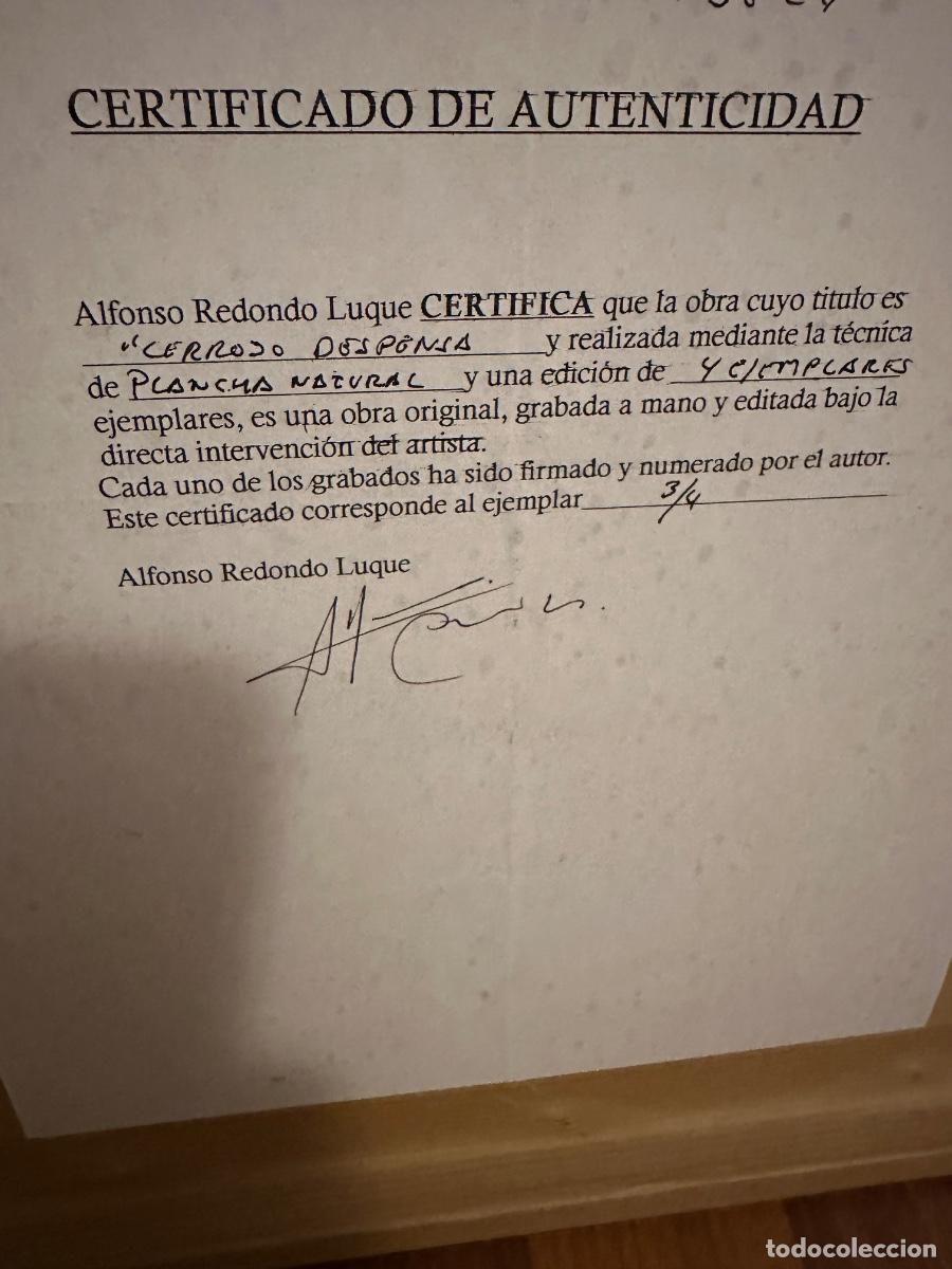 Arte: Grabado Alfonso Redondo Luque - Foto 5