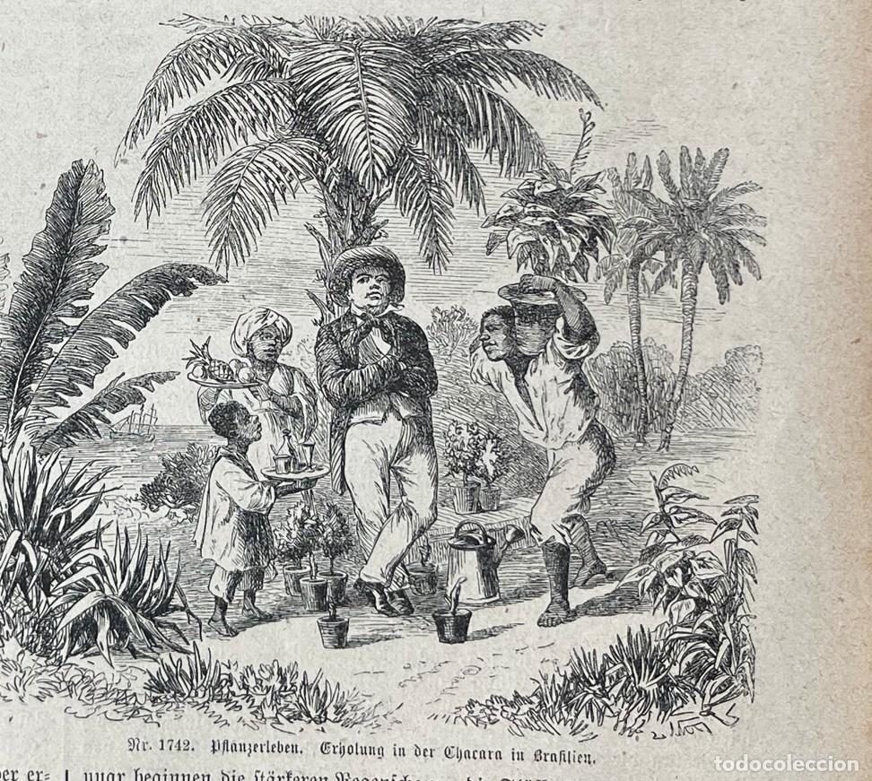 Arte: Fabrica de harina, hacendado y Petr&oacute;polis (R&iacute;o de Janeiro, Brasil), 1875.