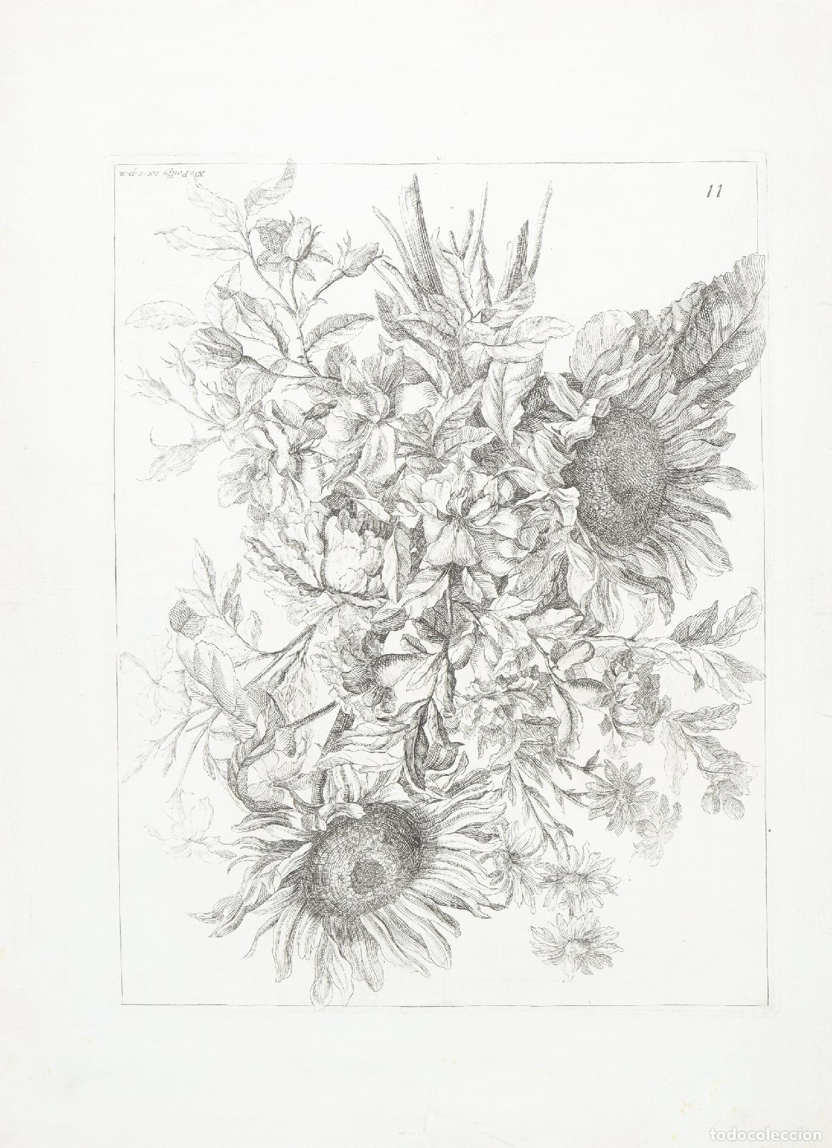 Arte: Girasoles - Poilly, Nicolas de (1626-1696) - Foto 1