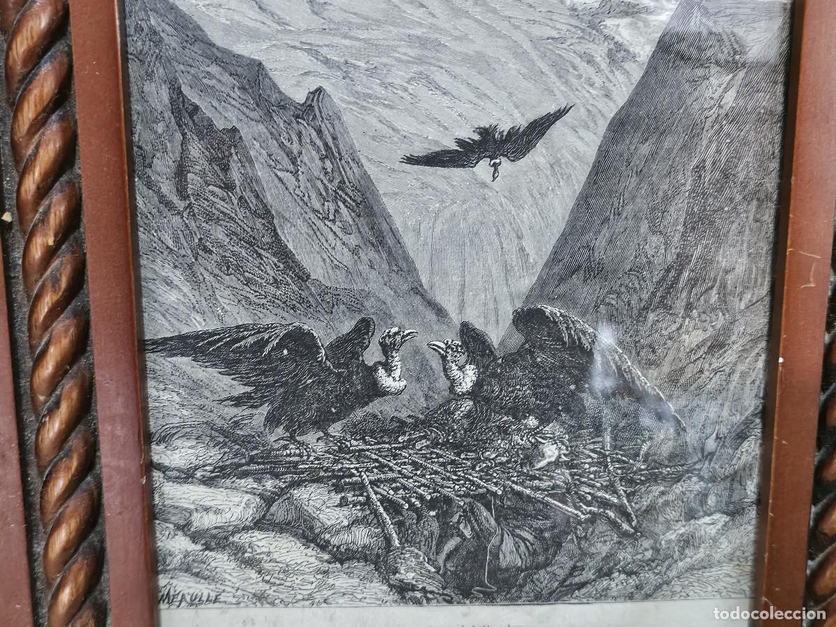 Arte: cuadro con grabado antiguo - Foto 2