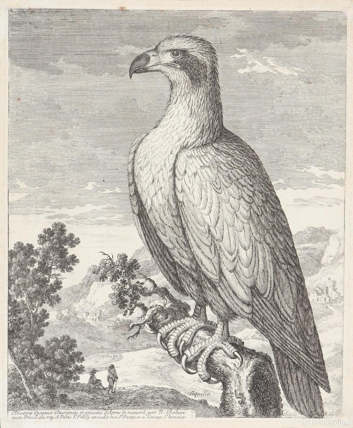 Arte: &Aacute;guila real - Poilly, F., Robert, Nicol&agrave;s - Foto 1
