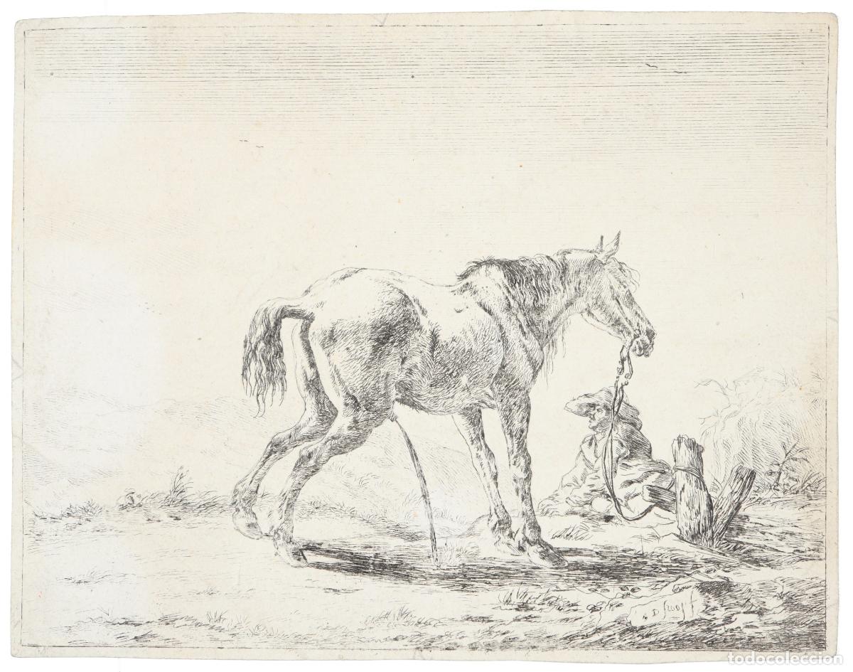 Arte: Caballo en el campo - Foto 1