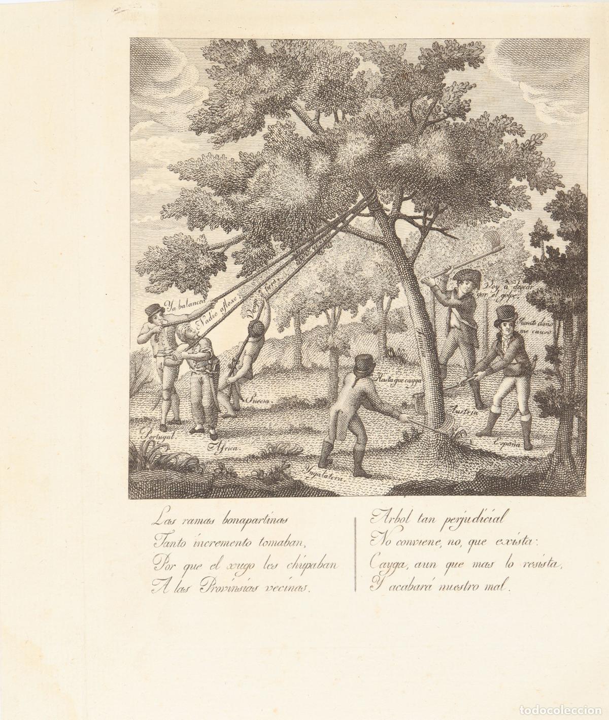 Arte: Las ramas bonapartinas, tanto incremento tomaban...