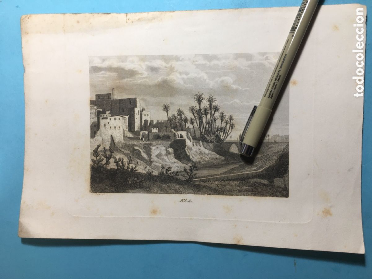 Arte: XIX GRABADO A. ROCA ELCHE - CON PALMERAL, CHUMBERAS Y R&Iacute;O VINALOP&Oacute;