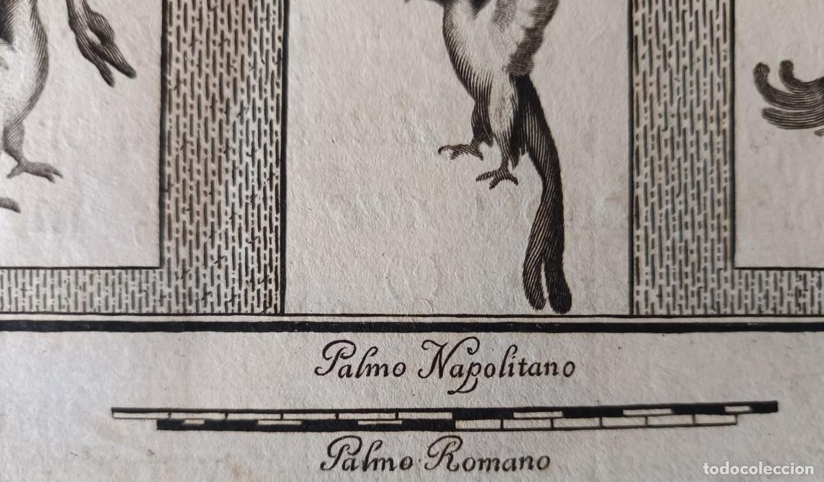 Arte: Pintura mural de Ercolano II. 1760 - Foto 5