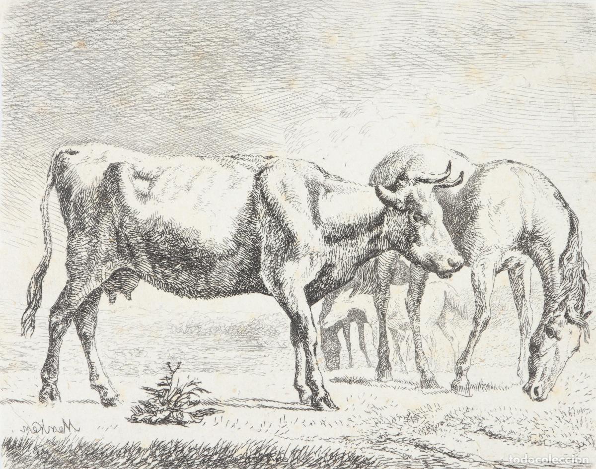 Arte: Caballos y vacas - Foto 2