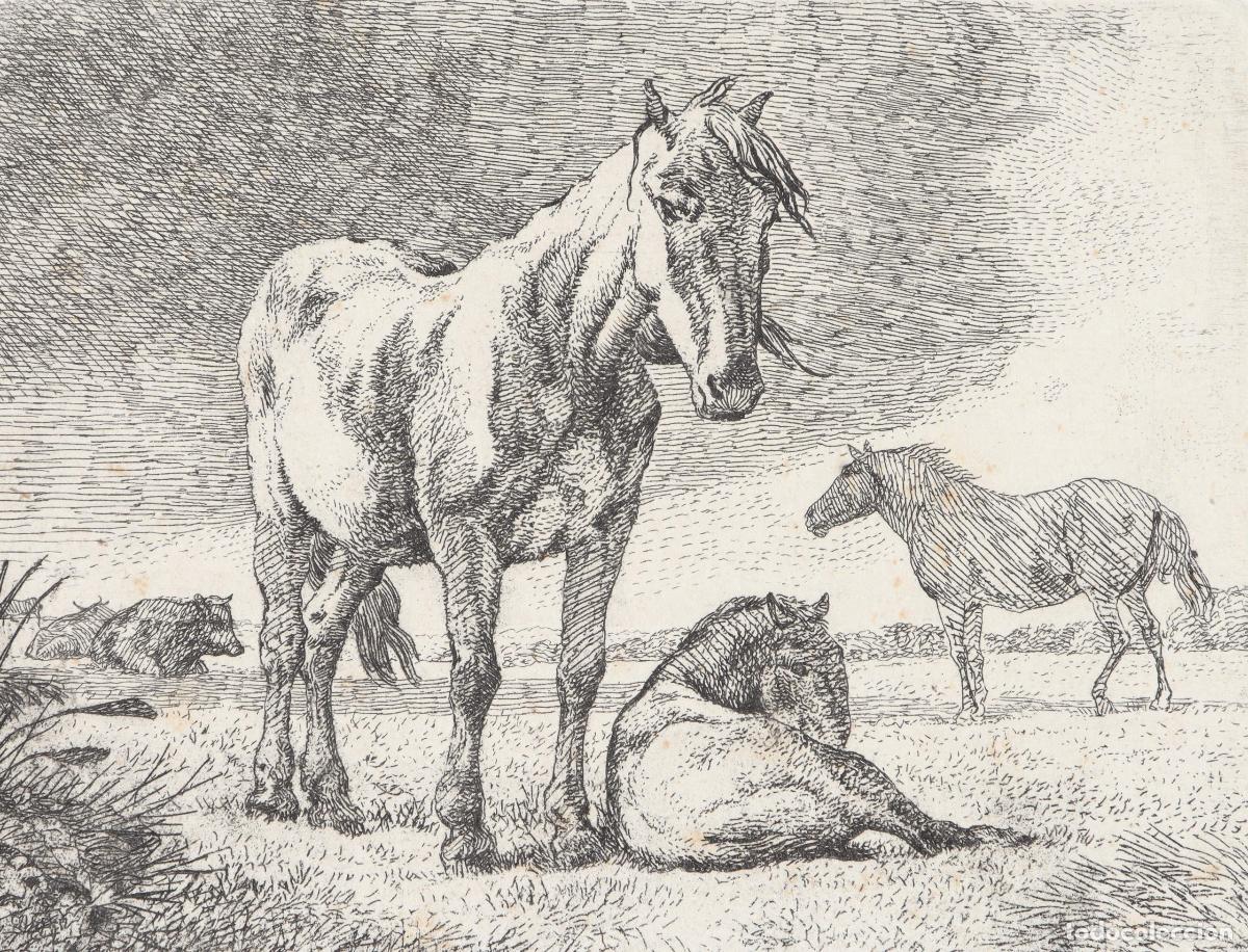Arte: Caballos y vacas - Foto 1