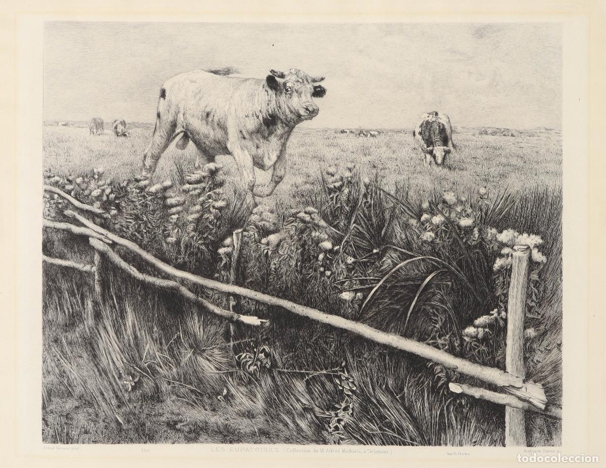 Art: Vacas - Chardon, F., Danse, Auguste Michele (1829-1885), Verwee, Alfred Jacques (1838-1895)