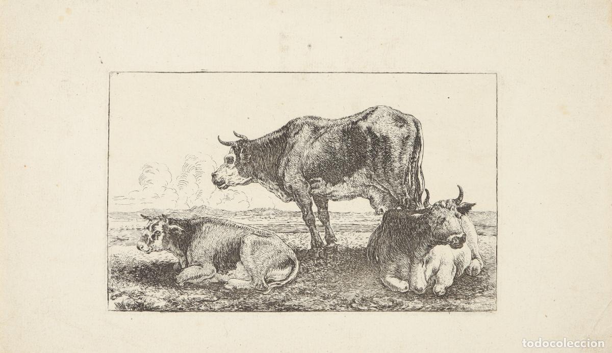 Arte: Vaca con terneros - Van der Hecke, Jean (1620-1684) - Foto 1