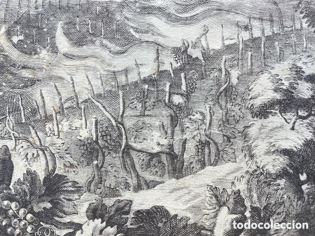 Arte: Albertus Clouwet grabado original 1665 - Foto 5
