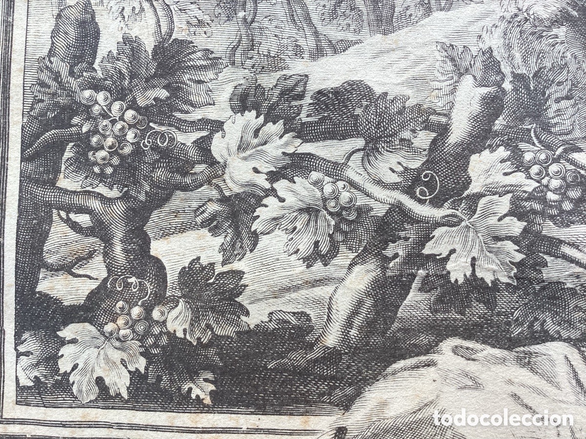Arte: Albertus Clouwet grabado original 1665 - Foto 6