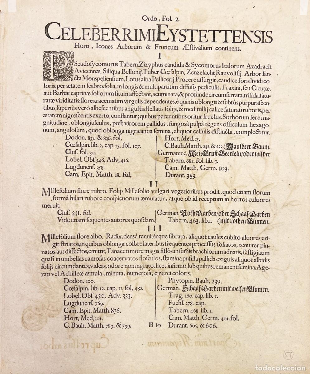 Arte: BASILIUS BESLER - CIPR&Eacute;S - 1640 - Foto 2