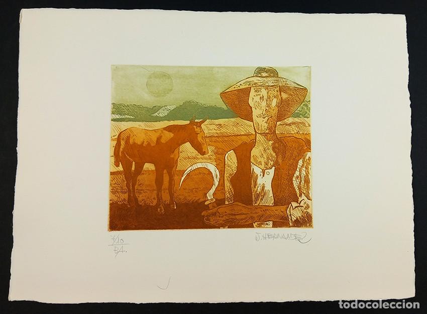 Arte: J. Hern&aacute;ndez. Campesino 7/10 P.A. - Foto 2