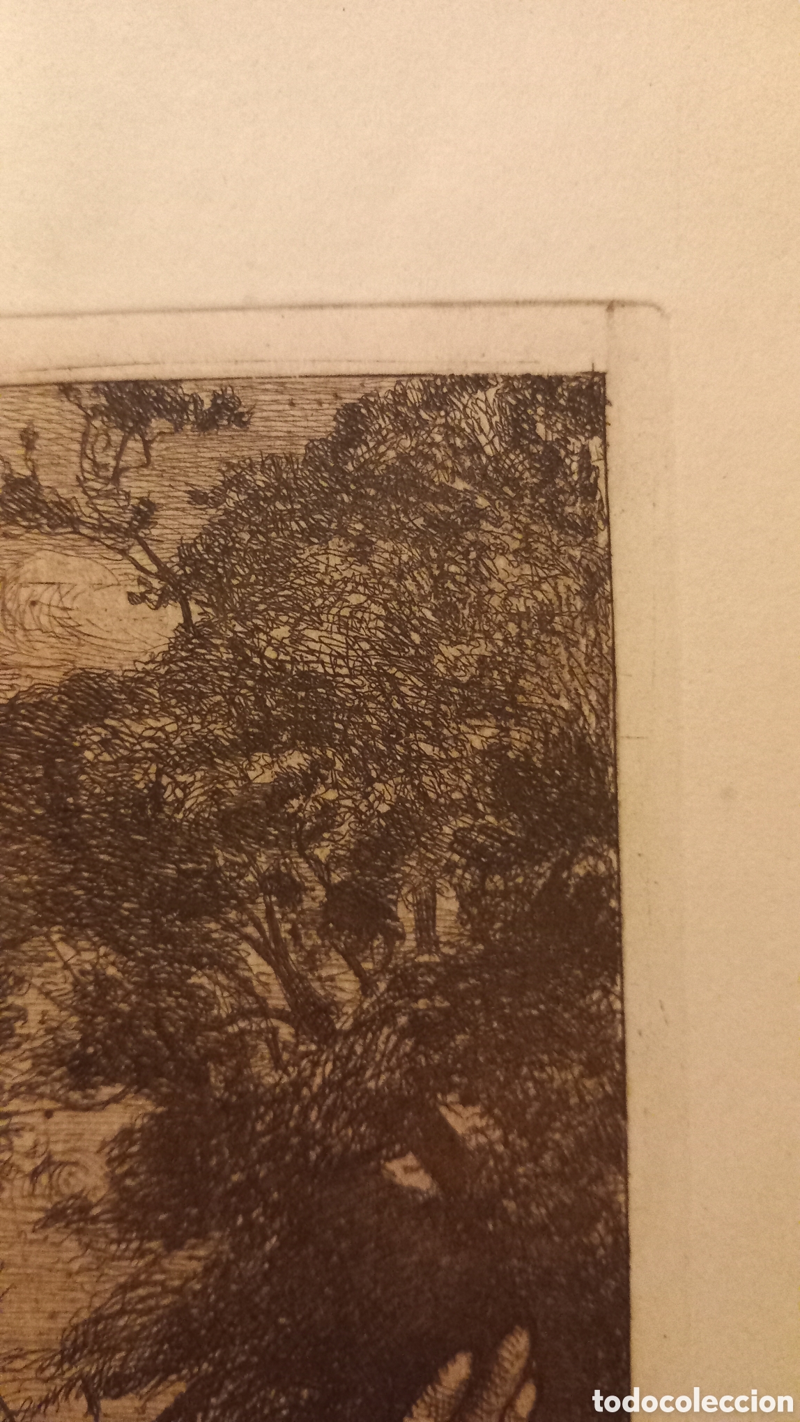 Arte: Grabado Aguafuerte Ram&oacute;n Borrell - Foto 3
